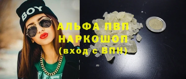 прущие грибы Аркадак
