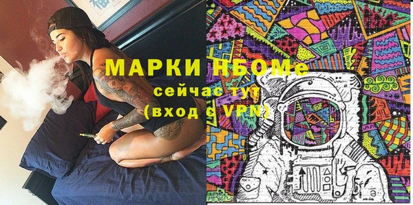 прущие грибы Аркадак