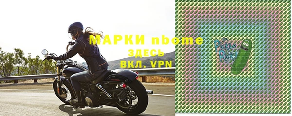 прущие грибы Аркадак
