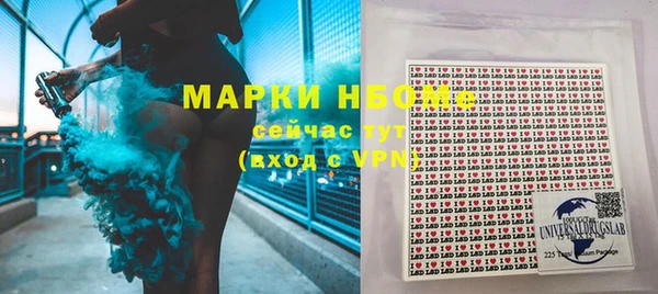 прущие грибы Аркадак