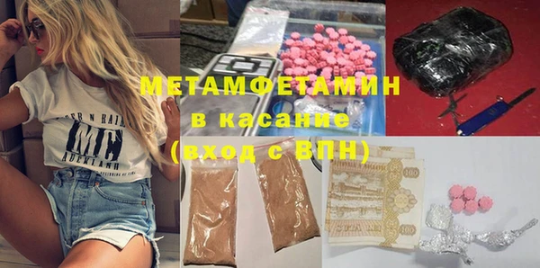 прущие грибы Аркадак