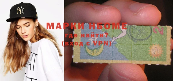 прущие грибы Аркадак