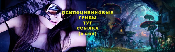 не бодяженный Арсеньев